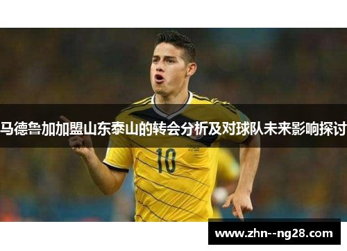 马德鲁加加盟山东泰山的转会分析及对球队未来影响探讨