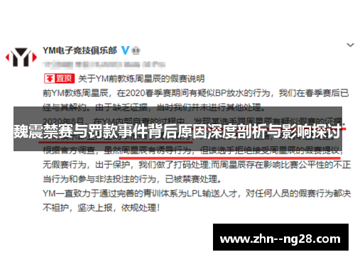 魏震禁赛与罚款事件背后原因深度剖析与影响探讨