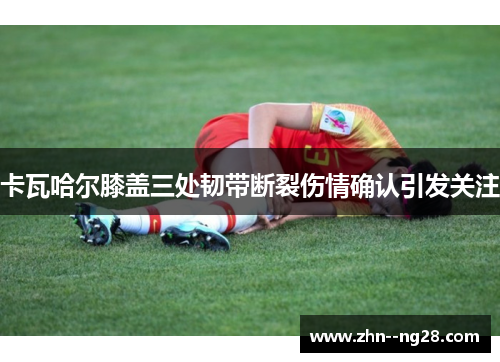 卡瓦哈尔膝盖三处韧带断裂伤情确认引发关注